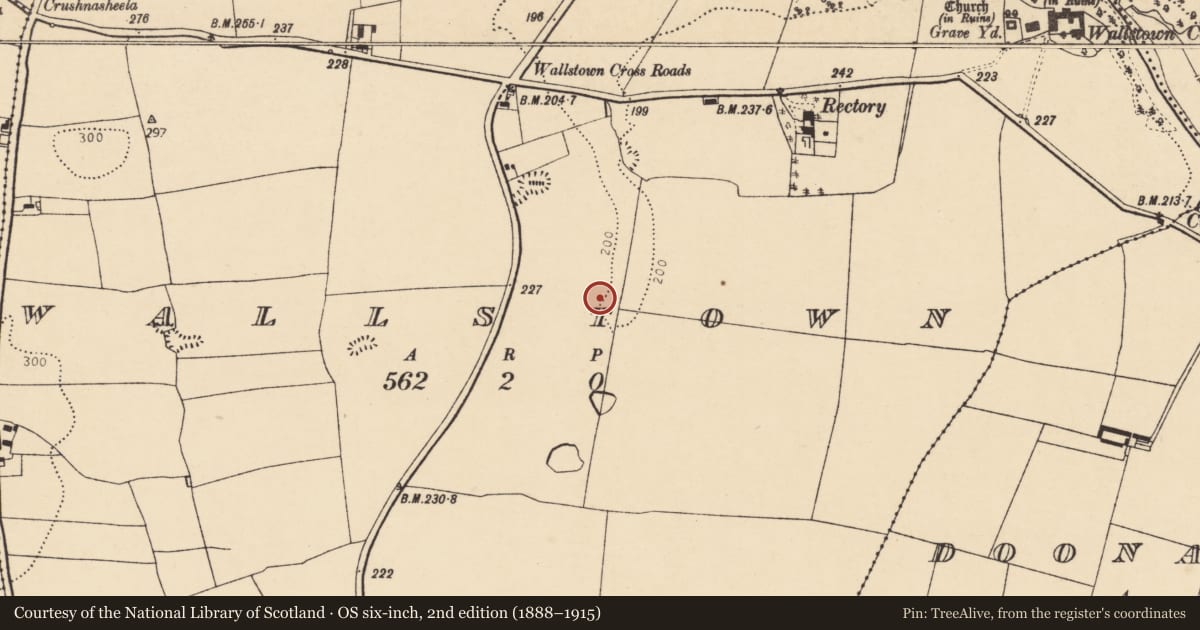 Ordnance Survey six-inch map, 2nd edition (1888–1915) covering the location of Enclosure, Wallstown, County Cork, with a pin at the register's coordinates