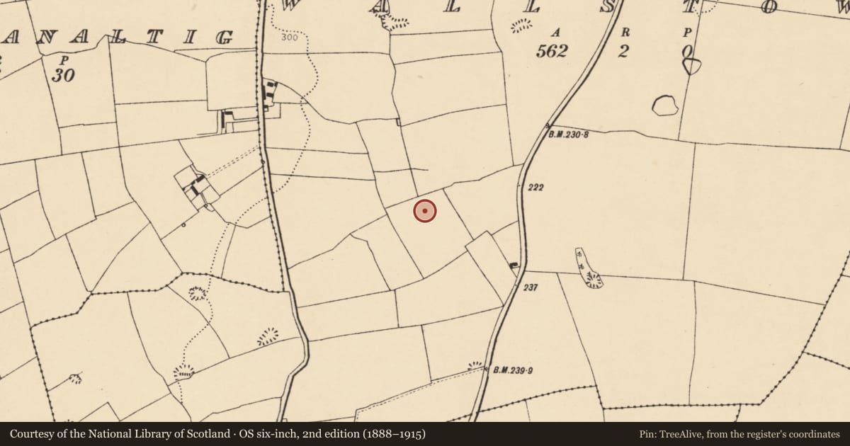 Ordnance Survey six-inch map, 2nd edition (1888–1915) covering the location of Enclosure, Wallstown, County Cork, with a pin at the register's coordinates