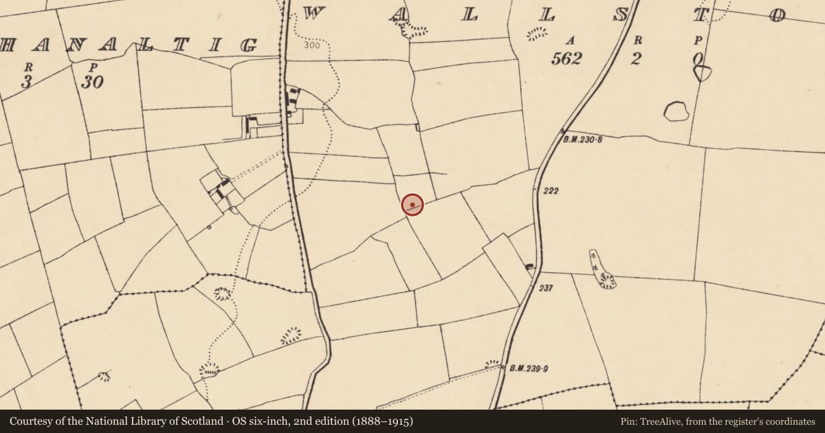 Ordnance Survey six-inch map, 2nd edition (1888–1915) covering the location of Enclosure, Wallstown, County Cork, with a pin at the register's coordinates