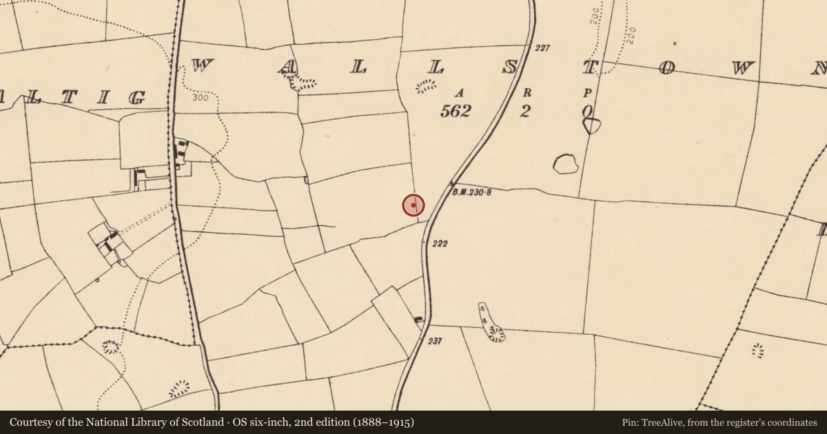 Ordnance Survey six-inch map, 2nd edition (1888–1915) covering the location of Enclosure, Wallstown, County Cork, with a pin at the register's coordinates