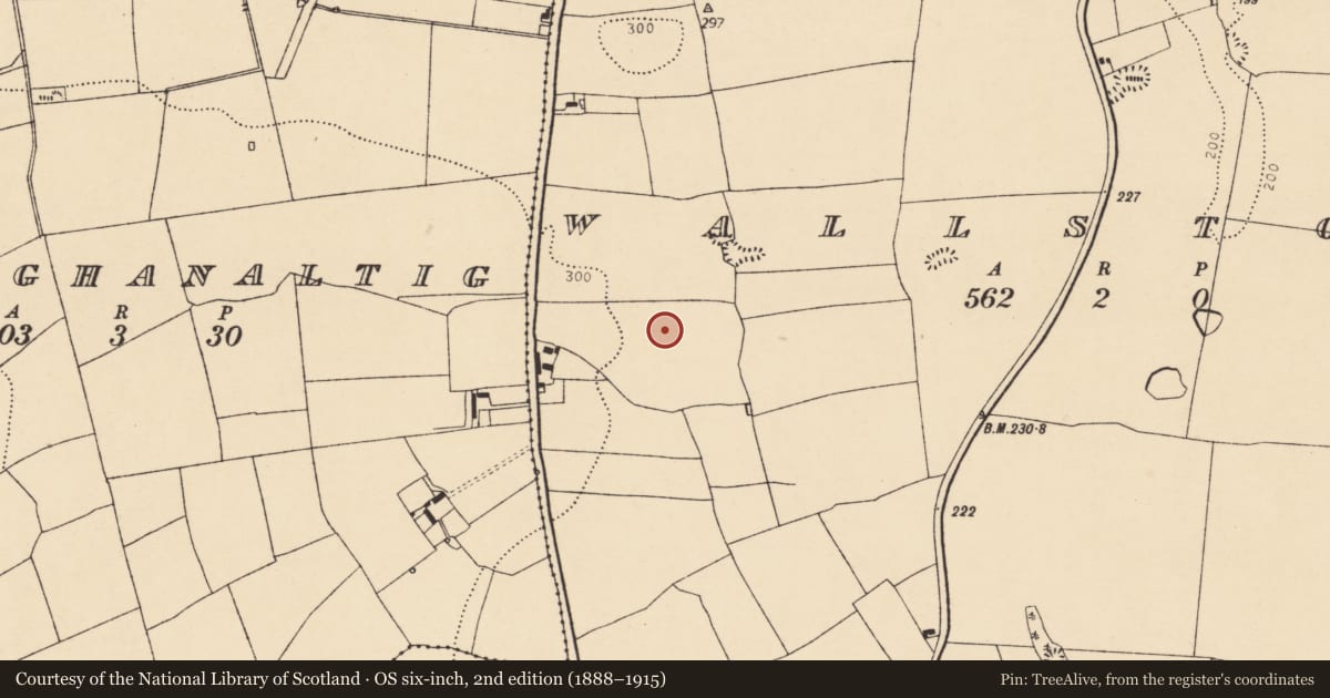 Ordnance Survey six-inch map, 2nd edition (1888–1915) covering the location of Enclosure, Wallstown, County Cork, with a pin at the register's coordinates