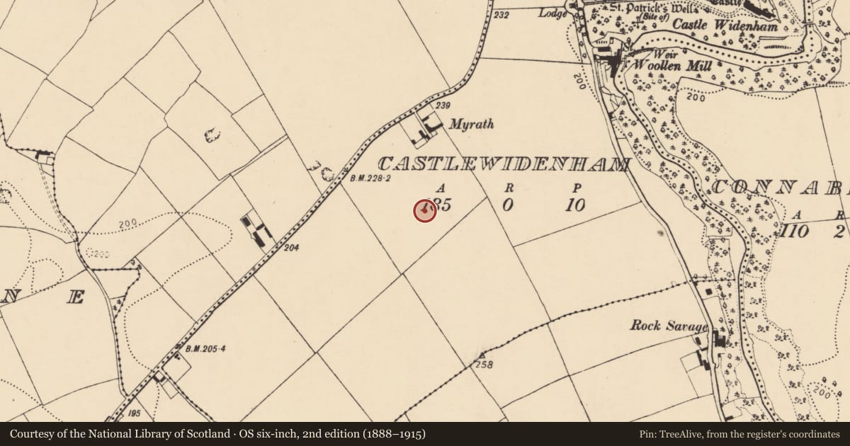Ordnance Survey six-inch map, 2nd edition (1888–1915) covering the location of Enclosure, Castlewidenham, County Cork, with a pin at the register's coordinates