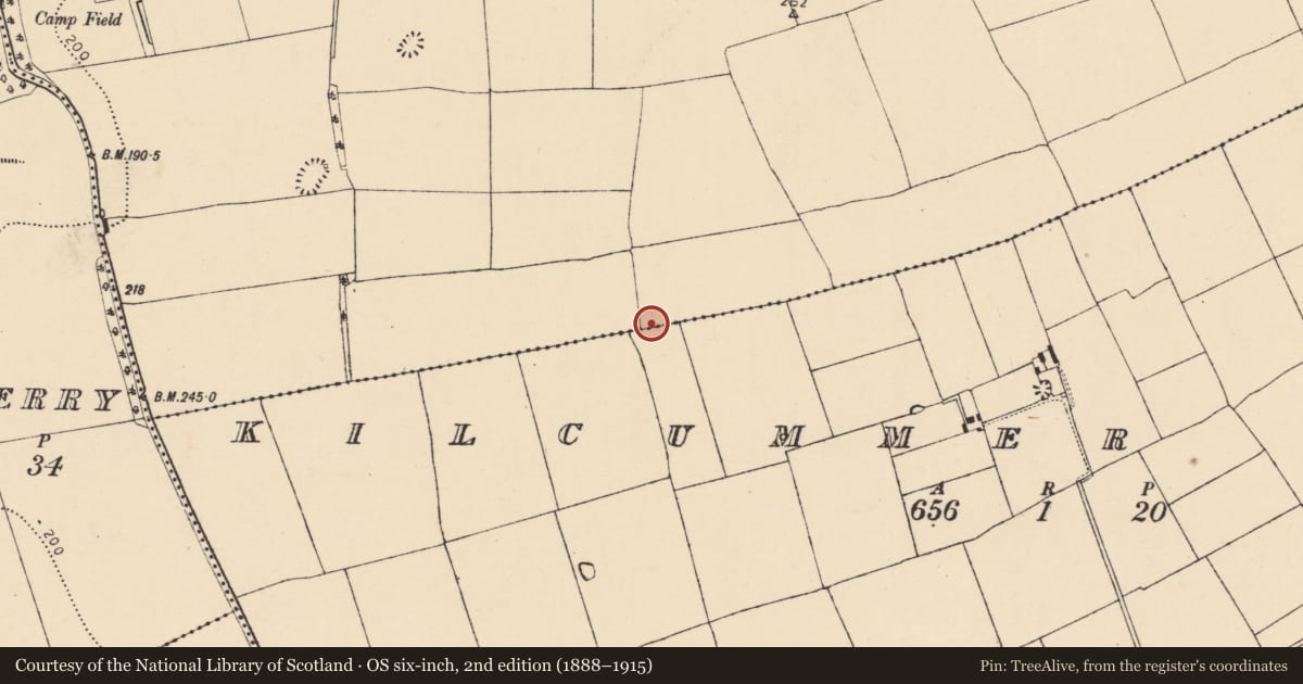 Ordnance Survey six-inch map, 2nd edition (1888–1915) covering the location of Enclosure, Ballyadeen, Kilcummer Upper, County Cork, with a pin at the register's coordinates