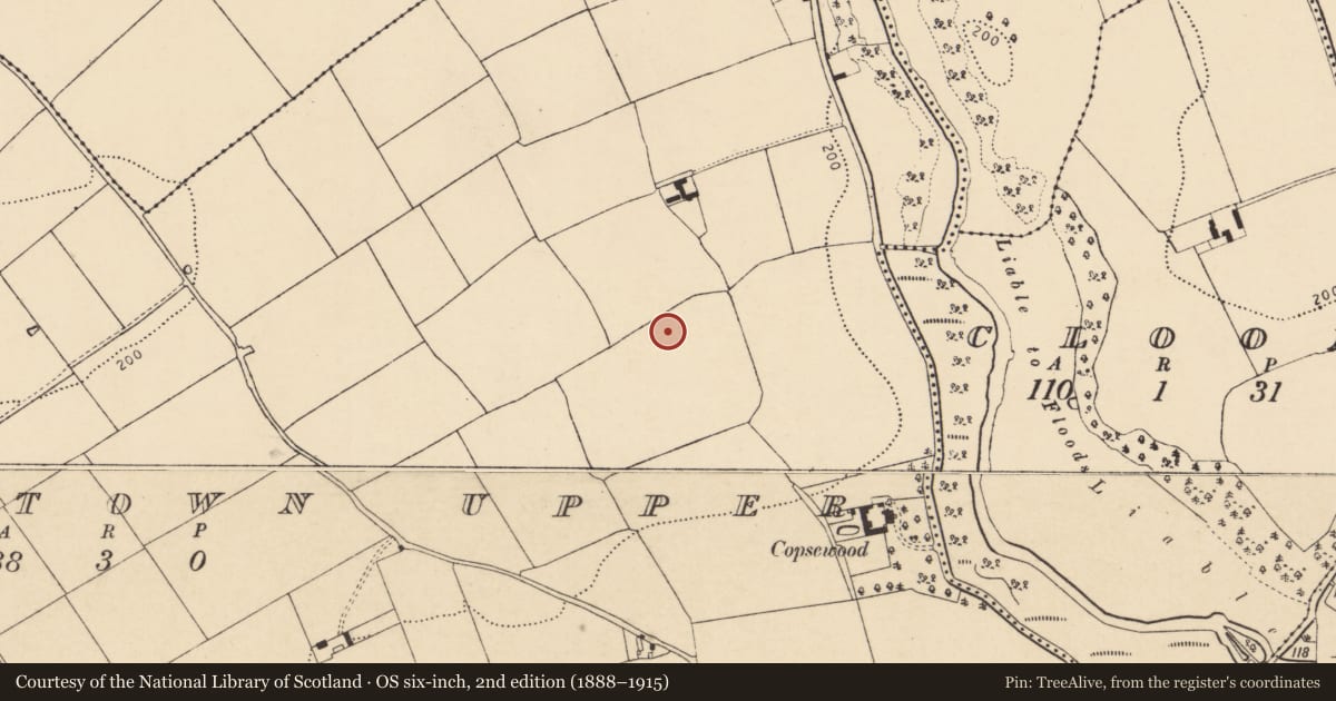 Ordnance Survey six-inch map, 2nd edition (1888–1915) covering the location of Enclosure, Bridgetown Upper, County Cork, with a pin at the register's coordinates
