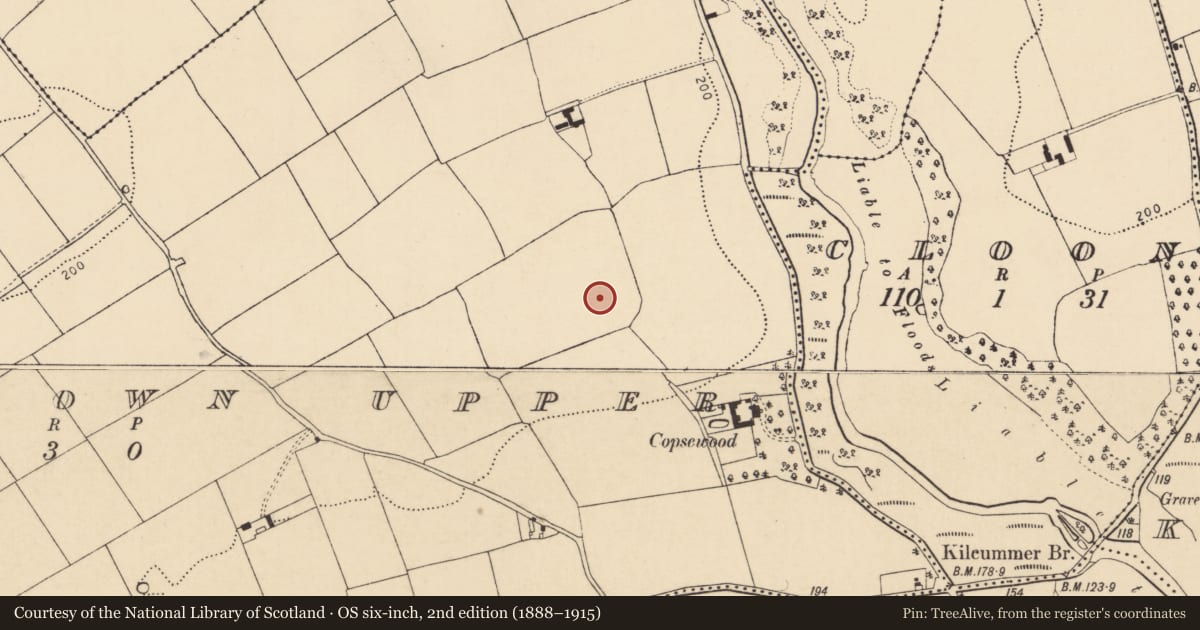 Ordnance Survey six-inch map, 2nd edition (1888–1915) covering the location of Field system, Bridgetown Upper, County Cork, with a pin at the register's coordinates