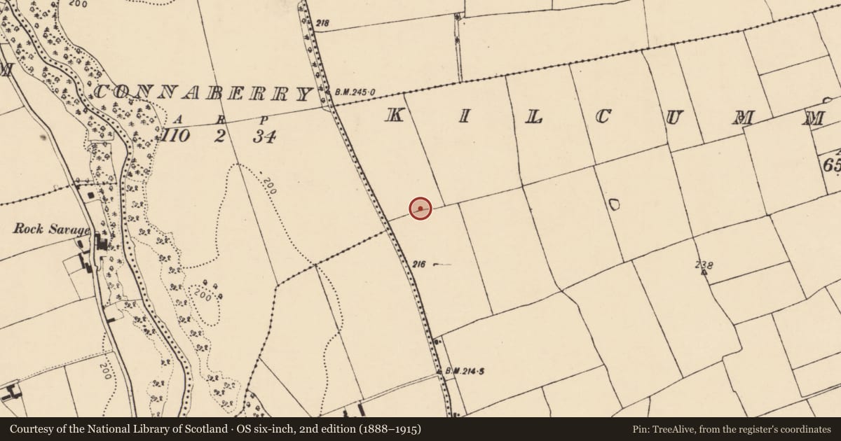 Ordnance Survey six-inch map, 2nd edition (1888–1915) covering the location of Enclosure, Kilcummer Upper, County Cork, with a pin at the register's coordinates