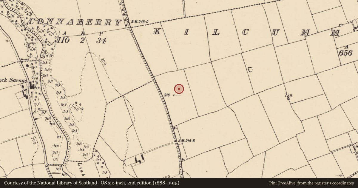 Ordnance Survey six-inch map, 2nd edition (1888–1915) covering the location of Ring-ditch, Kilcummer Upper, County Cork, with a pin at the register's coordinates