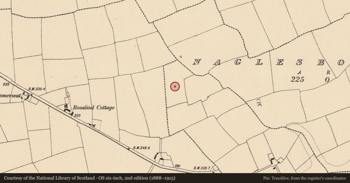 Ordnance Survey six-inch map, 2nd edition (1888–1915) covering the location of Enclosure, Sleemana, County Cork, with a pin at the register's coordinates