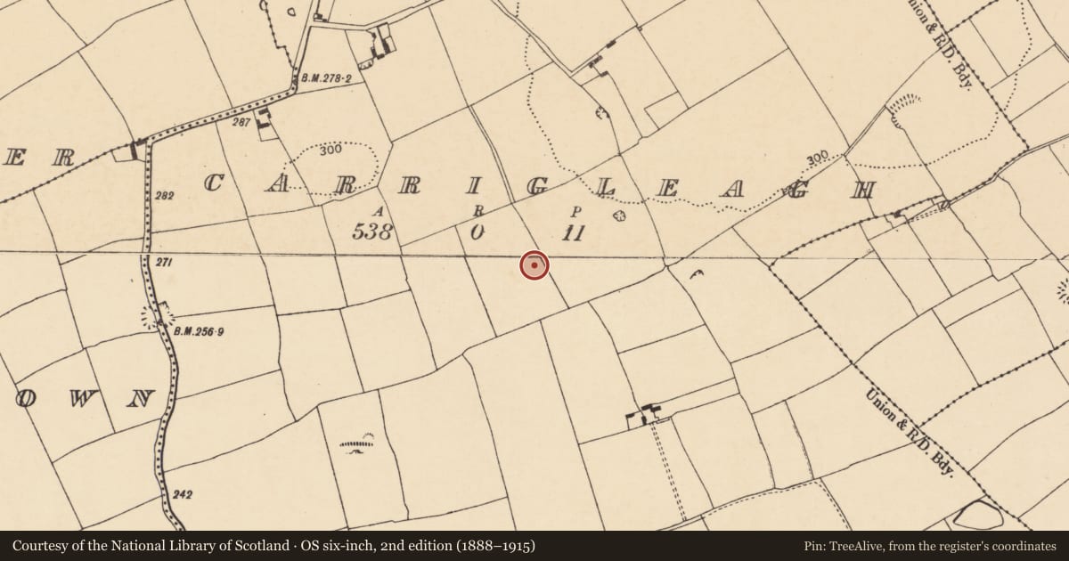 Ordnance Survey six-inch map, 2nd edition (1888–1915) covering the location of Enclosure, Carrigleagh (Fermoy By., Templeroan Par.), County Cork, with a pin at the register's coordinates