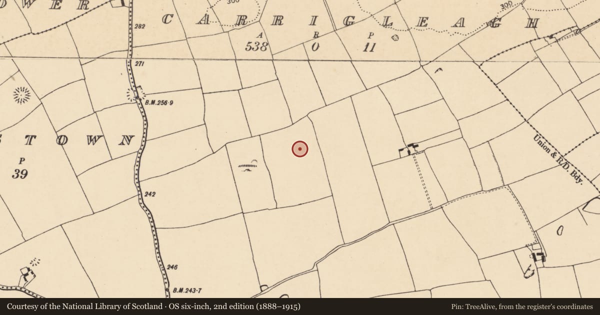 Ordnance Survey six-inch map, 2nd edition (1888–1915) covering the location of Enclosure, Carrigleagh (Fermoy By., Wallstown Par.), County Cork, with a pin at the register's coordinates
