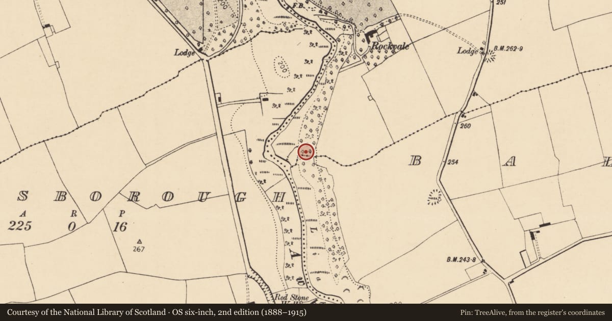 Ordnance Survey six-inch map, 2nd edition (1888–1915) covering the location of Designed landscape - tea house, Ballydoyle, County Cork, with a pin at the register's coordinates