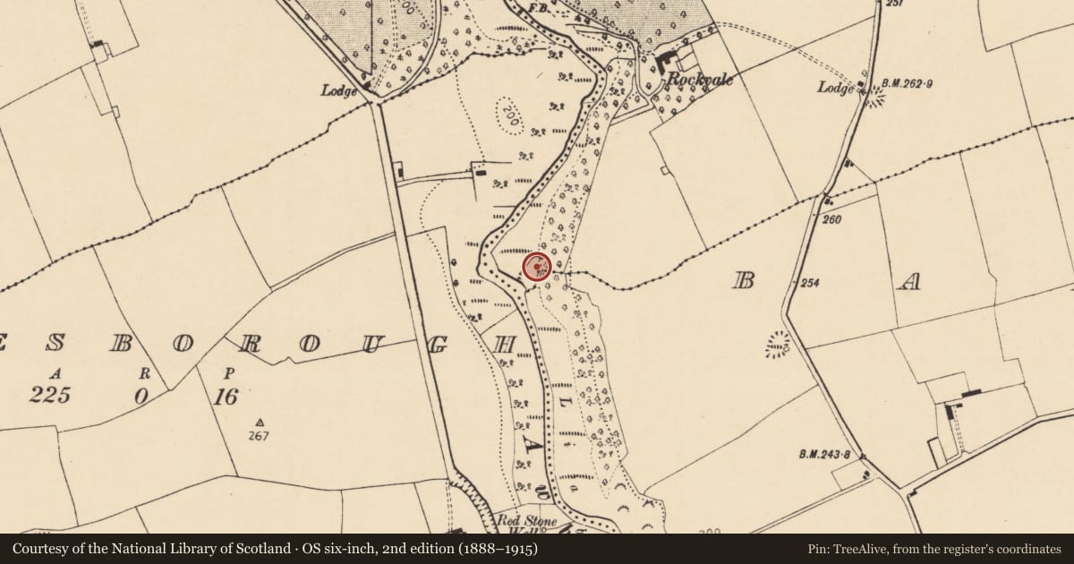 Ordnance Survey six-inch map, 2nd edition (1888–1915) covering the location of Ritual site - holy well, Ballydoyle, County Cork, with a pin at the register's coordinates