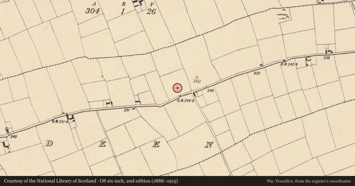 Ordnance Survey six-inch map, 2nd edition (1888–1915) covering the location of Enclosure, Ballyadeen, County Cork, with a pin at the register's coordinates