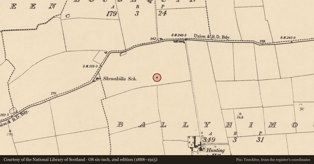 Ordnance Survey six-inch map, 2nd edition (1888–1915) covering the location of Field system, Ballyhimock, County Cork, with a pin at the register's coordinates