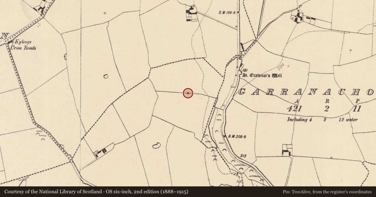 Ordnance Survey six-inch map, 2nd edition (1888–1915) covering the location of Field system, Killuragh, County Cork, with a pin at the register's coordinates