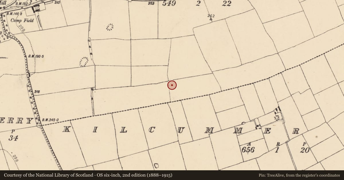 Ordnance Survey six-inch map, 2nd edition (1888–1915) covering the location of Enclosure, Ballyadeen, County Cork, with a pin at the register's coordinates