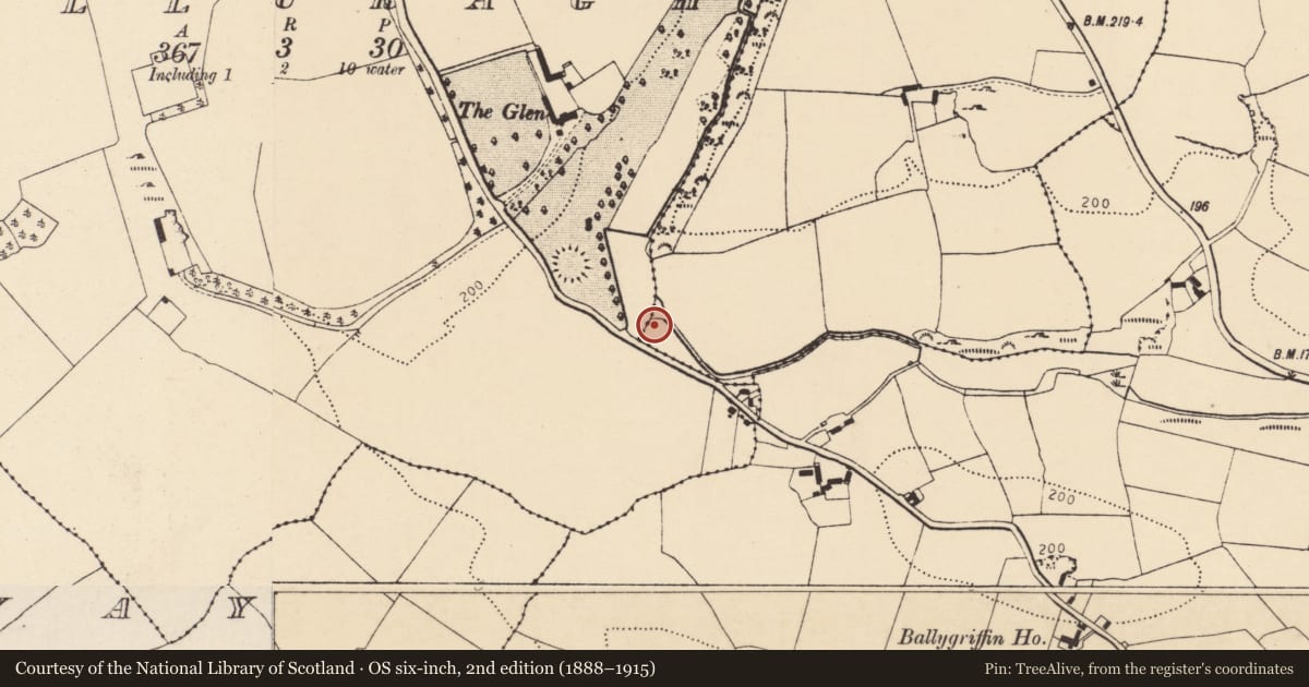 Ordnance Survey six-inch map, 2nd edition (1888–1915) covering the location of Fulacht fia, Garranachole, County Cork, with a pin at the register's coordinates