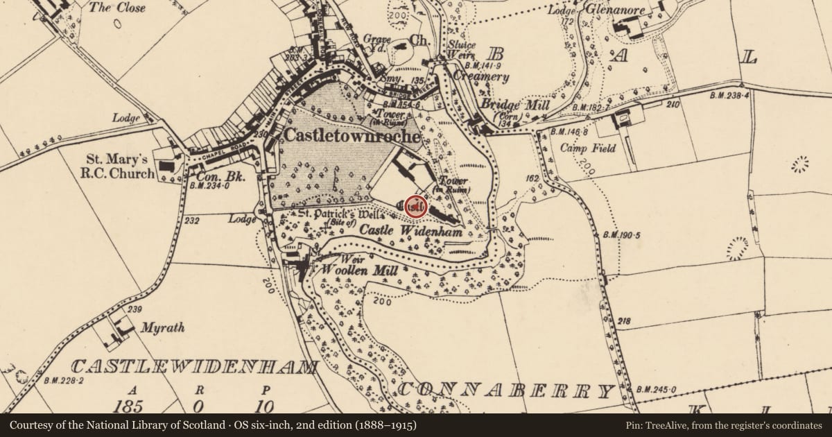 Ordnance Survey six-inch map, 2nd edition (1888–1915) covering the location of Promontory fort - inland, Castlewidenham, County Cork, with a pin at the register's coordinates