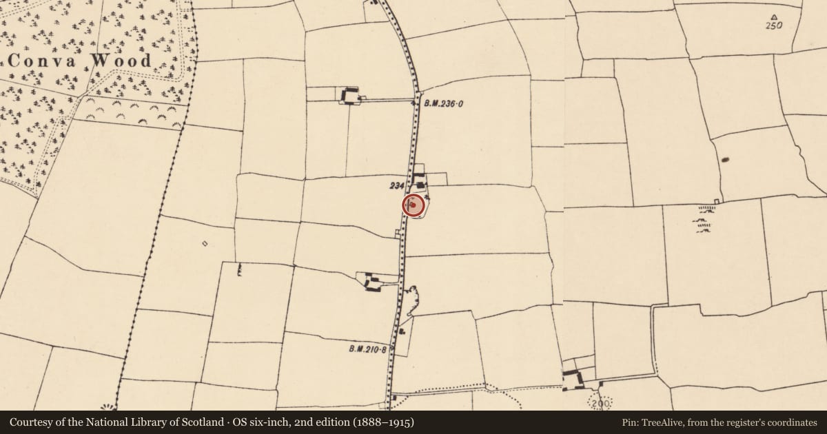Ordnance Survey six-inch map, 2nd edition (1888–1915) covering the location of Ringfort - rath, Ballyhooly South, County Cork, with a pin at the register's coordinates