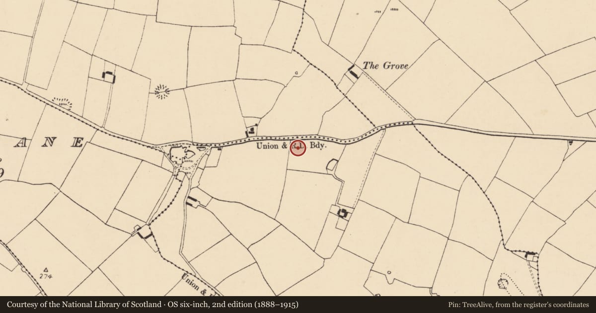 Ordnance Survey six-inch map, 2nd edition (1888–1915) covering the location of Burnt mound, Kilquane, County Cork, with a pin at the register's coordinates
