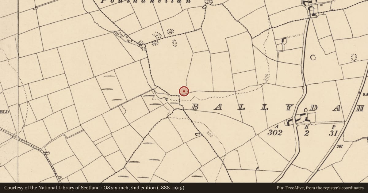 Ordnance Survey six-inch map, 2nd edition (1888–1915) covering the location of Burnt mound, Ballydaheen, County Cork, with a pin at the register's coordinates