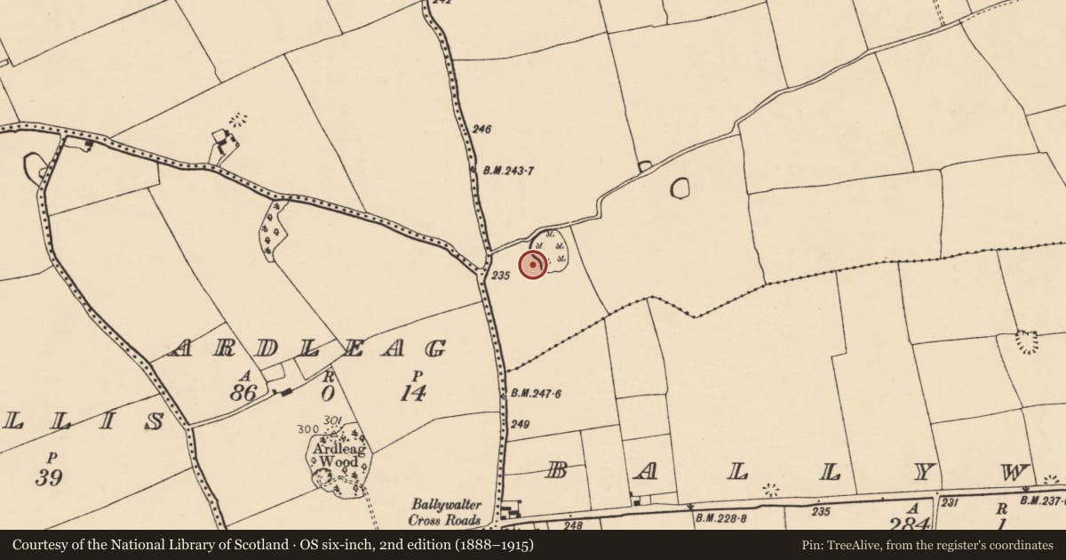 Ordnance Survey six-inch map, 2nd edition (1888–1915) covering the location of Burnt mound, Carrigleagh (Fermoy By., Wallstown Par.), County Cork, with a pin at the register's coordinates