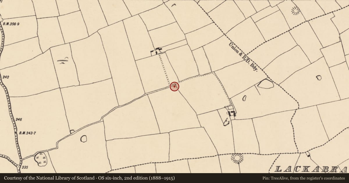 Ordnance Survey six-inch map, 2nd edition (1888–1915) covering the location of Ringfort - rath, Carrigleagh (Fermoy By., Wallstown Par.), County Cork, with a pin at the register's coordinates