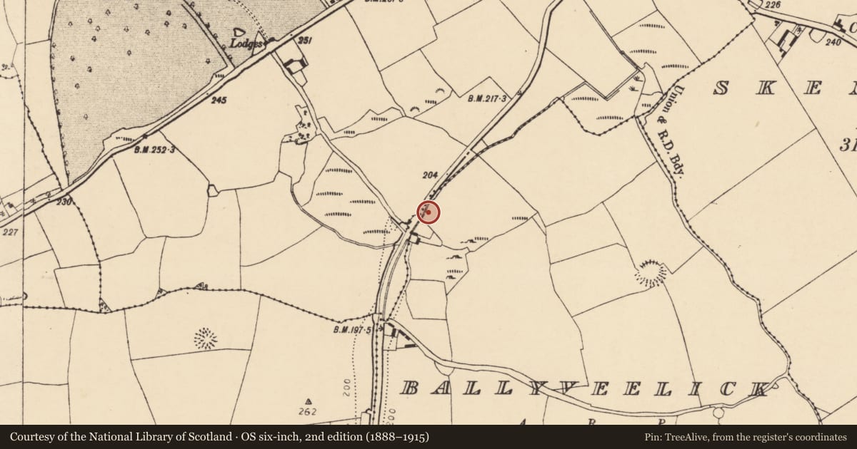 Ordnance Survey six-inch map, 2nd edition (1888–1915) covering the location of Burnt mound, Ballyveelick, County Cork, with a pin at the register's coordinates
