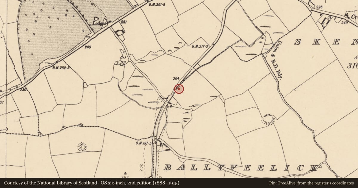 Ordnance Survey six-inch map, 2nd edition (1888–1915) covering the location of Fulacht fia, Ballyveelick, County Cork, with a pin at the register's coordinates