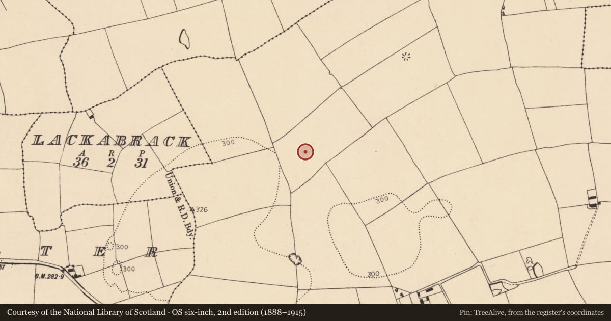 Ordnance Survey six-inch map, 2nd edition (1888–1915) covering the location of Enclosure, Lisnagoorneen, County Cork, with a pin at the register's coordinates