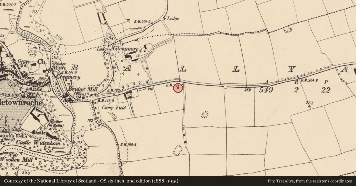 Ordnance Survey six-inch map, 2nd edition (1888–1915) covering the location of Enclosure, Ballyadeen, County Cork, with a pin at the register's coordinates