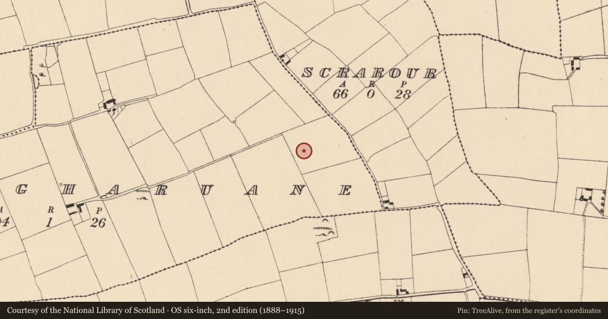 Ordnance Survey six-inch map, 2nd edition (1888–1915) covering the location of Enclosure, Lougharuane, County Cork, with a pin at the register's coordinates