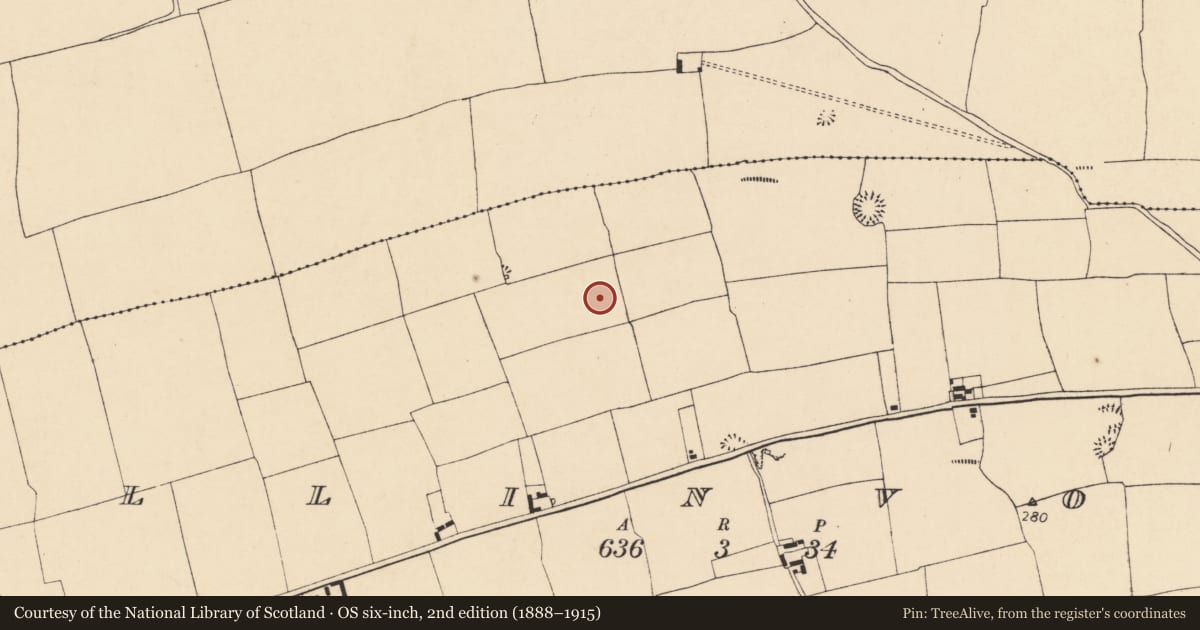 Ordnance Survey six-inch map, 2nd edition (1888–1915) covering the location of Enclosure, Ballinvoher, County Cork, with a pin at the register's coordinates