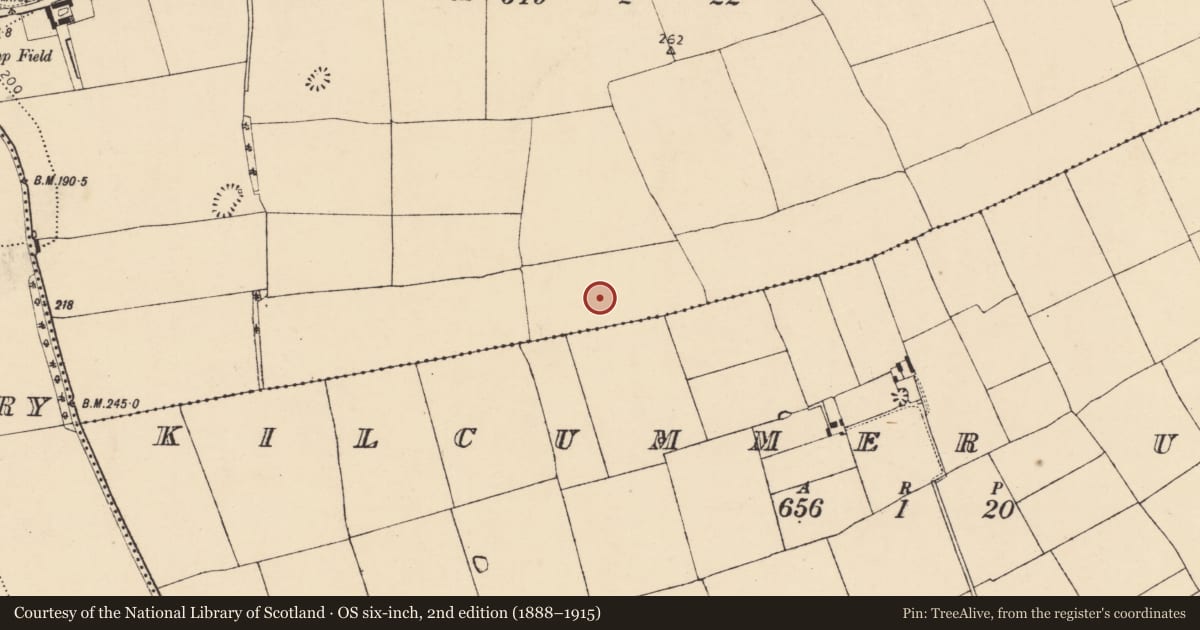 Ordnance Survey six-inch map, 2nd edition (1888–1915) covering the location of Enclosure, Ballyadeen, County Cork, with a pin at the register's coordinates