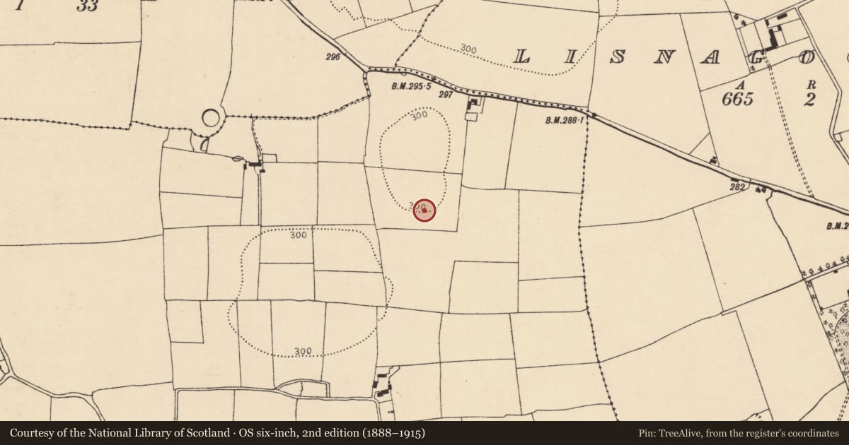 Ordnance Survey six-inch map, 2nd edition (1888–1915) covering the location of Enclosure, Ballydoyle, County Cork, with a pin at the register's coordinates