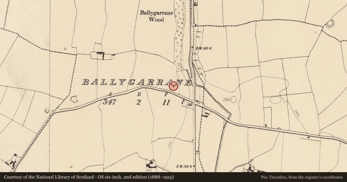 Ordnance Survey six-inch map, 2nd edition (1888–1915) covering the location of Enclosure, Ballygarrane, County Cork, with a pin at the register's coordinates