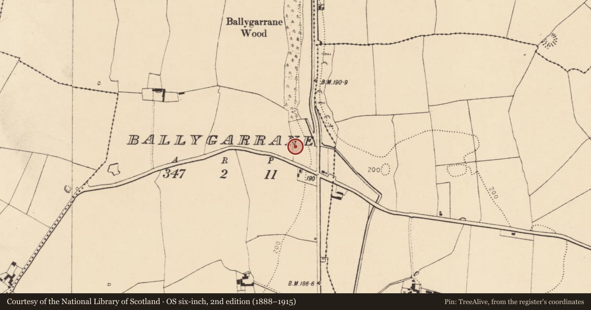 Ordnance Survey six-inch map, 2nd edition (1888–1915) covering the location of Enclosure, Ballygarrane, County Cork, with a pin at the register's coordinates