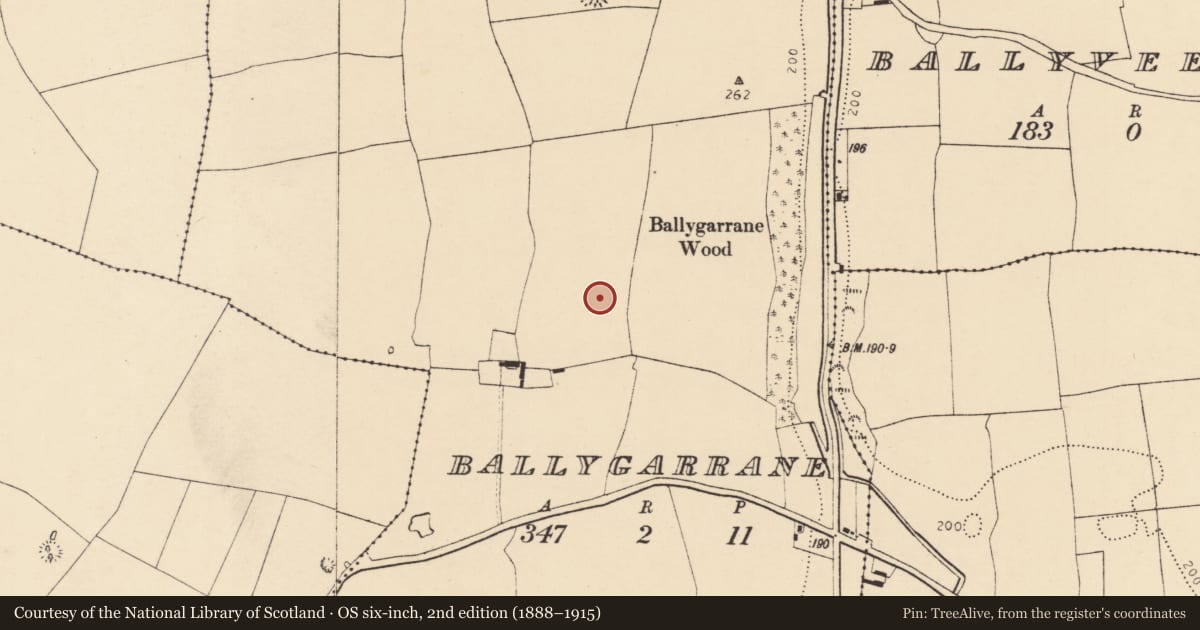 Ordnance Survey six-inch map, 2nd edition (1888–1915) covering the location of Enclosure, Ballygarrane, County Cork, with a pin at the register's coordinates