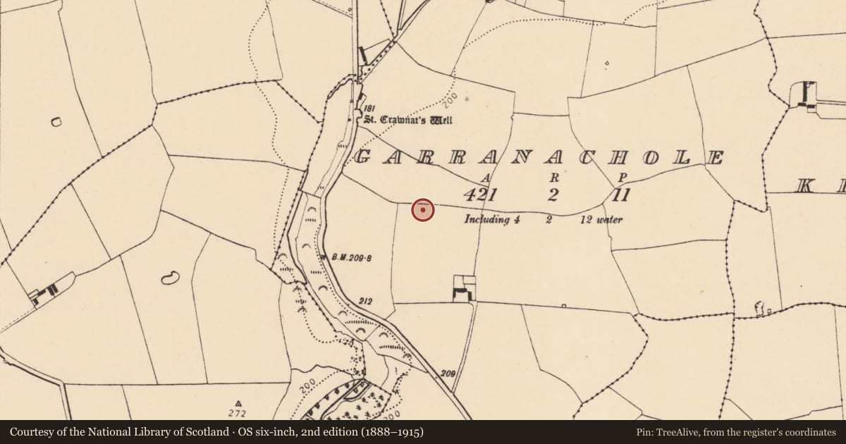 Ordnance Survey six-inch map, 2nd edition (1888–1915) covering the location of Enclosure, Garranachole, County Cork, with a pin at the register's coordinates