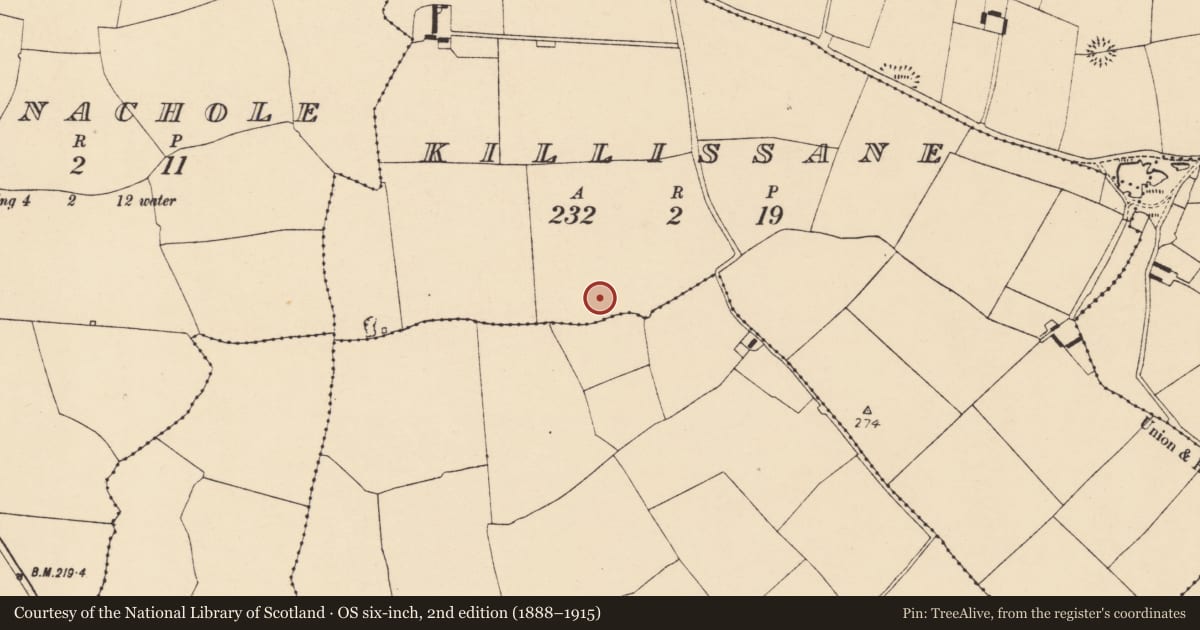 Ordnance Survey six-inch map, 2nd edition (1888–1915) covering the location of Enclosure, Killissane, County Cork, with a pin at the register's coordinates