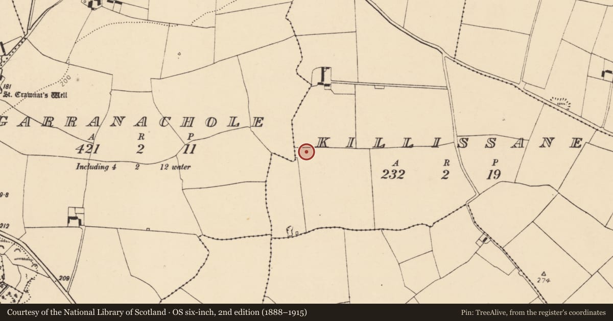 Ordnance Survey six-inch map, 2nd edition (1888–1915) covering the location of Enclosure, Killissane, County Cork, with a pin at the register's coordinates