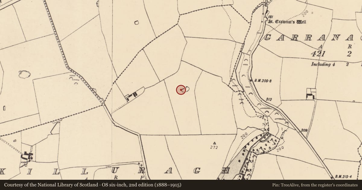 Ordnance Survey six-inch map, 2nd edition (1888–1915) covering the location of Field boundary, Killuragh, County Cork, with a pin at the register's coordinates
