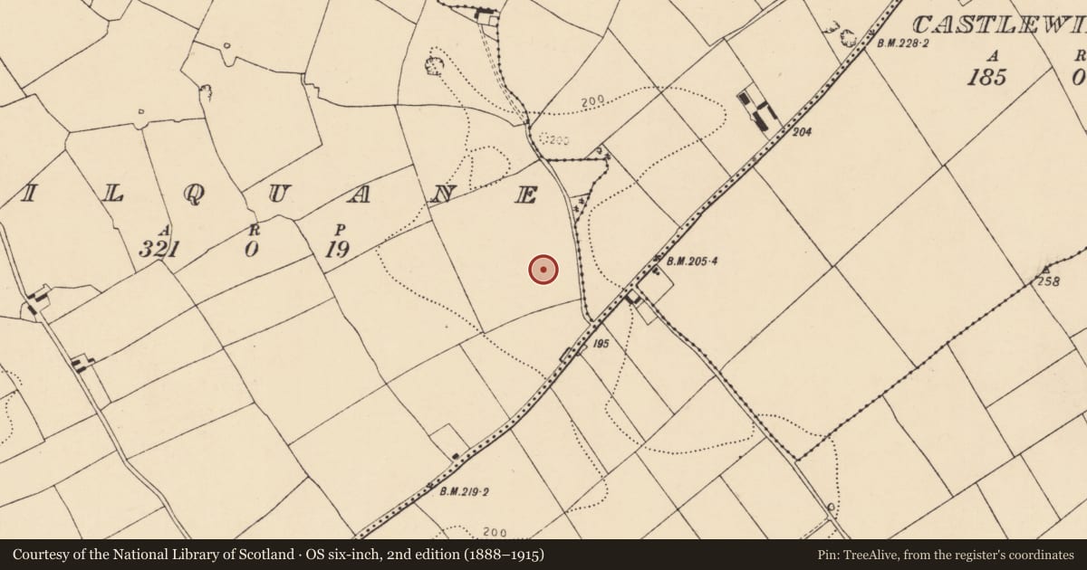 Ordnance Survey six-inch map, 2nd edition (1888–1915) covering the location of Enclosure, Kilquane, County Cork, with a pin at the register's coordinates