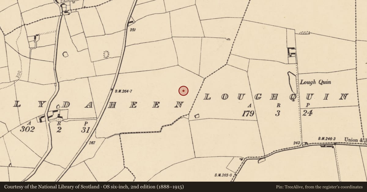 Ordnance Survey six-inch map, 2nd edition (1888–1915) covering the location of Enclosure, Ballydaheen, County Cork, with a pin at the register's coordinates