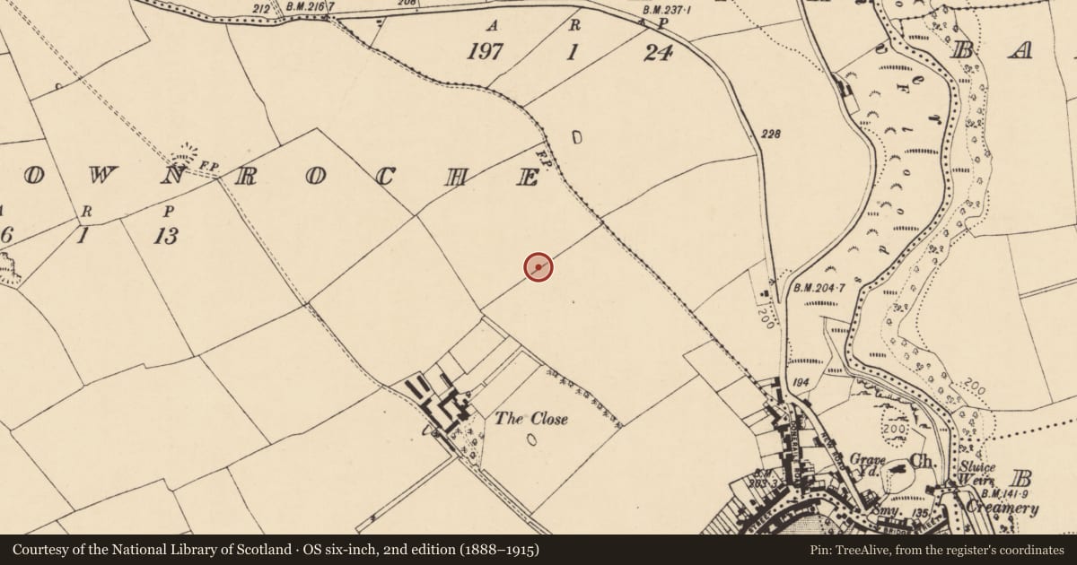 Ordnance Survey six-inch map, 2nd edition (1888–1915) covering the location of Enclosure, Castletownroche, County Cork, with a pin at the register's coordinates