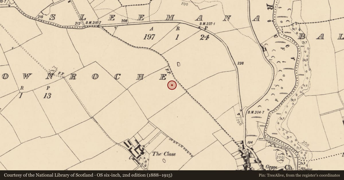 Ordnance Survey six-inch map, 2nd edition (1888–1915) covering the location of Enclosure, Castletownroche, County Cork, with a pin at the register's coordinates
