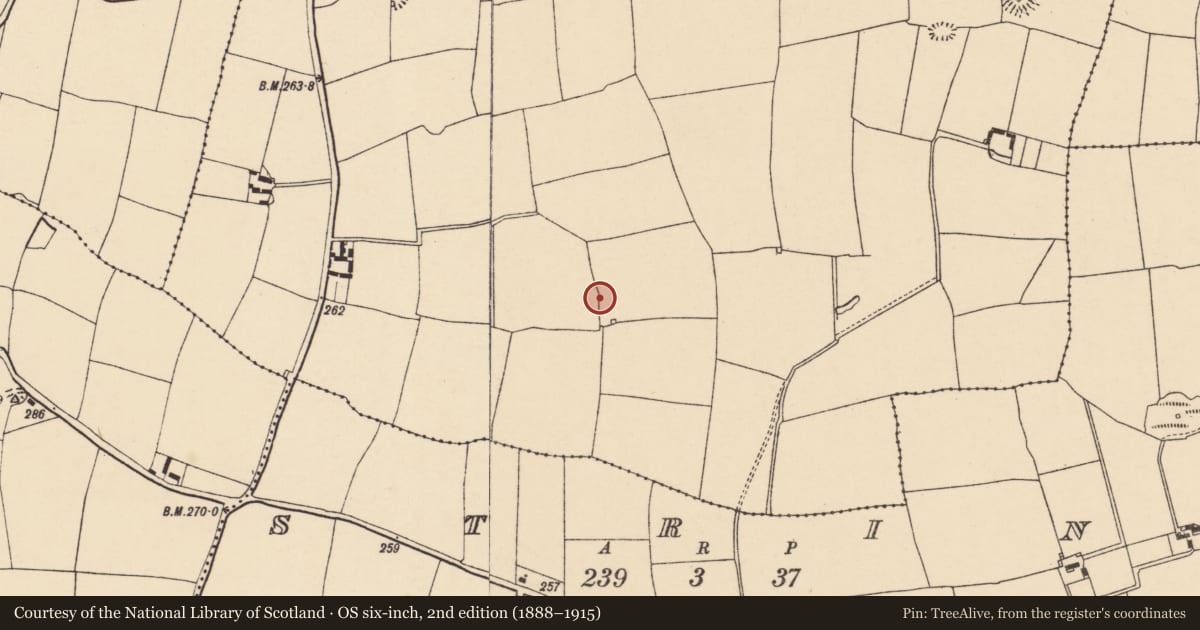 Ordnance Survey six-inch map, 2nd edition (1888–1915) covering the location of Ringfort - rath, Ballykeating, County Cork, with a pin at the register's coordinates