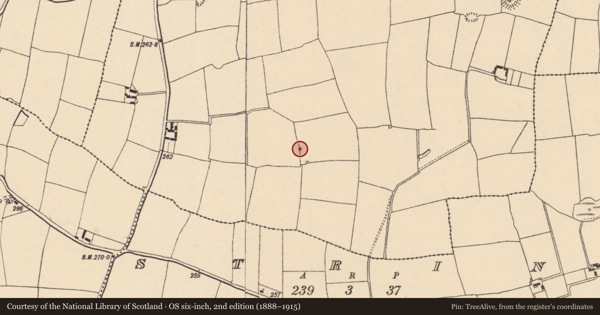 Ordnance Survey six-inch map, 2nd edition (1888–1915) covering the location of Souterrain, Ballykeating, County Cork, with a pin at the register's coordinates