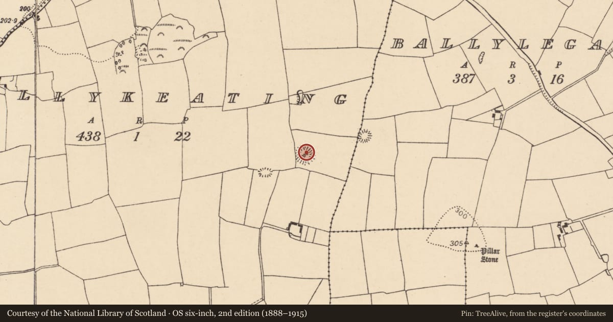 Ordnance Survey six-inch map, 2nd edition (1888–1915) covering the location of Ringfort - rath, Ballykeating, County Cork, with a pin at the register's coordinates