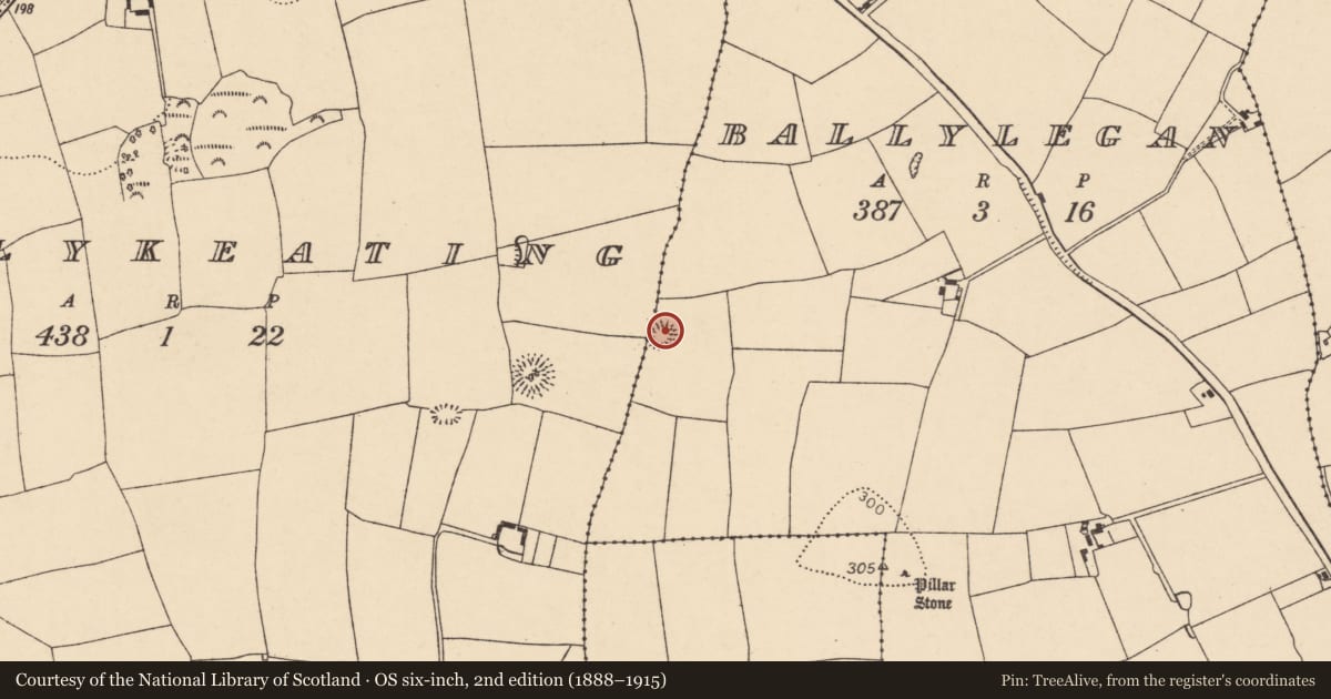 Ordnance Survey six-inch map, 2nd edition (1888–1915) covering the location of Ringfort - rath, Ballylegan, County Cork, with a pin at the register's coordinates